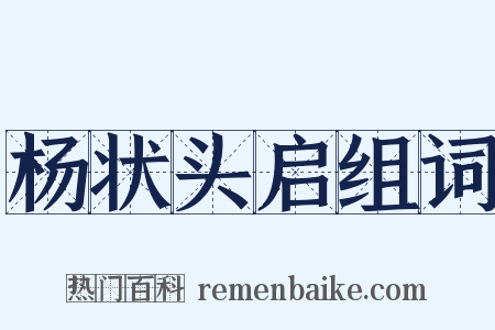 杨状头启组词是什么意思的图片